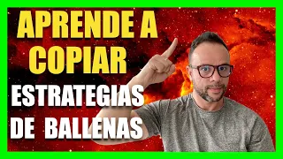 🔥🤑 APRENDE A COPIAR LAS ESTRATEGIAS DE INVERSIÓN DE LAS BALLENAS 💪🏼 PASO A PASO 🤑