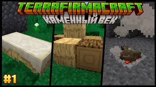 Каменный век | Гайд по моду TerraFirmaCraft 1.18.2 #1