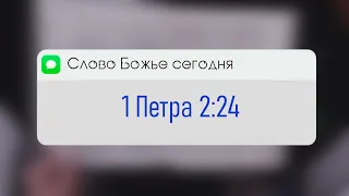 1 Петра 2:24