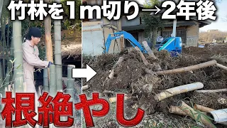 竹の１m切りの効果は絶大？500本以上あった竹をユンボで根絶やしにする【387日目】