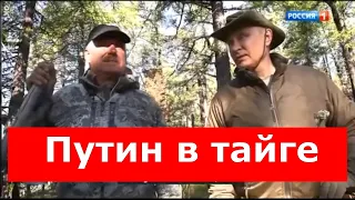 Путин в тайге