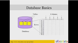 Learn Basic SQL Commands: SELECT, FROM, WHERE, GROUP BY, HAVING, ORDER BY