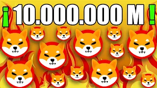 💣 POR ESTA RAZÓN DEBERÍAS TENER 10.000.000 DE TOKENS DE SHIBA INU (URGENTE) ✅