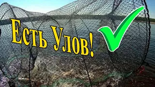 РЫБАЛКА НА МОРДУШКУ ВЕРШ! Отличный улов! Много щуки и карася