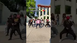 Yo perreo sola bailando con fans!!😎