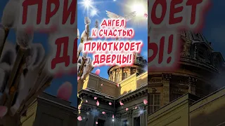 С Вербным Воскресеньем🕊️