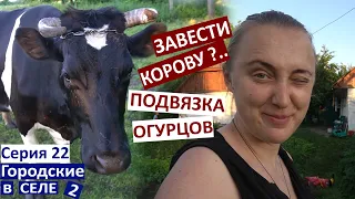 22 серия / Как подвязать огурцы / у нас поперли огурцы / Настя приехала с моря / завести корову? /