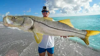 ILLEGAL to Buy or Sell this Fish…Catch Clean Cook (Mullet Run 2022)