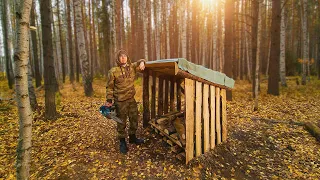 ЗОЛОТАЯ ОСЕНЬ В ЛЕСУ. НОВЫЙ ДРОВНИК ИЗ СТАРЫХ ДОСОК. 39 СЕРИЯ.