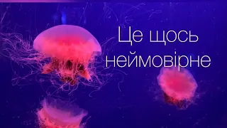 VLOG: Перший кавун . Музей медуз. Підсвічуються різними кольорами. Наші покупки