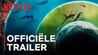 Our Living World | Cate Blanchett | Officiële trailer | Netflix