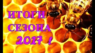 Пасека! Подвожу итоги пчеловодного сезона 2017!