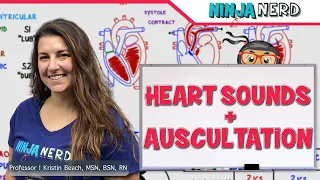 Heart Sounds and Auscultation