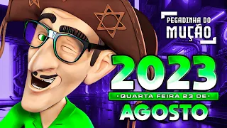 PEGADINHA DO MUÇÃO 2023 QUARTA FEIRA 23 DE AGOSTO 20230