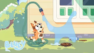 Ne deviens pas ami avec Salade | Le Barbecue | Bluey Français Chaîne Officielle