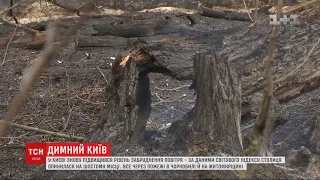 У Києві знову немає чим дихати через пожежі у Чорнобильській зоні та Житомирській області