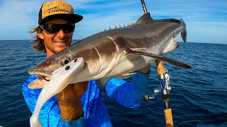 Fishermen vs. SHARKS - Cobia Battle Fishing