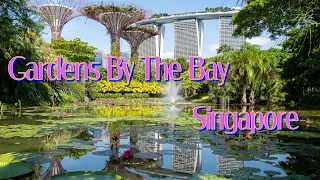 Gardens By The Bay | Singapore | Travel Guide 2022