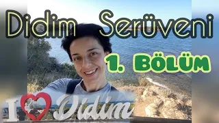 Didim Serüveni: Yoldan Kamp Alanına İlk Adım