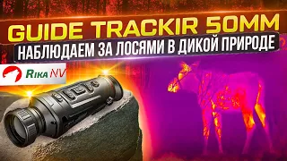 Guide TrackIR 50мм - наблюдения за лосями в дикой природе! Работа тепловизора Guide.