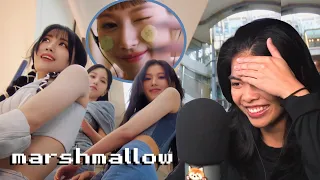 TWICE MISAMO (MINA, SANA, MOMO)「Marshmallow」Music Video[reaction]