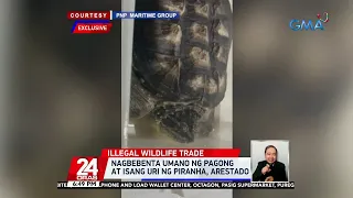 Nagbebenta umano ng pagong at isang uri ng piranha, arestado | 24 Oras
