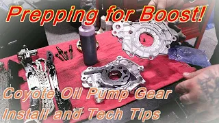 Mustang Coyote Oil Pump Gear Install and Tech Tips