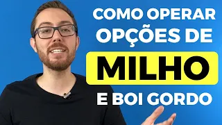 COMO OPERAR OPÇÕES DE BOI, MILHO E PETRÓLEO (COMMODITIES) | RESPONDENDO DÚVIDAS