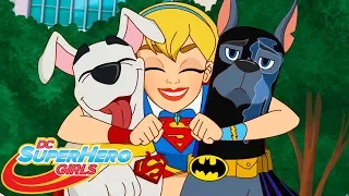 Псу под хвост Часть 1 | 407 | DC Super Hero Girls Россия