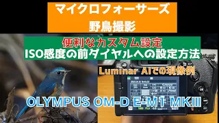 マイクロフォーサーズ野鳥撮影/ISO感度の前へのダイヤル設定方法/Luminar AIでの現像例/OLYMPUS OM-D E-M1 MarkⅢ/No.116