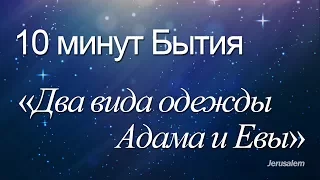 10 минут Бытия - 017(Бытие 3:7, 21) / "Два вида одежды Адама и Евы"