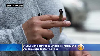 Schizophrenia Linked To Marijuana Use Disorder Is On The Rise, Study Finds