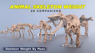 Animal Skeleton Weight Comparison Exposed! 2023