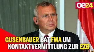 Signa - Gusenbauer bat FMA um Kontaktvermittlung zur EZB