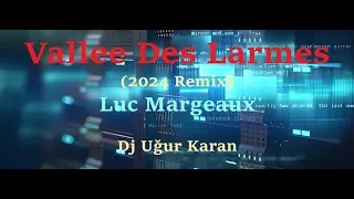 Vallee Des Larmes (Remix)