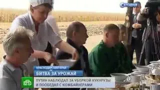 Путин в поле и стандартный обед комбайнера
