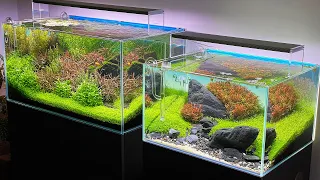 HIS AQUASCAPES WILL BLOW YOUR MIND!! (and these two aren't even the best..)