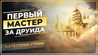 неПервый мастер за ДРУИДА (Perfect World) Ссылки в описании 🤩