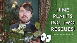 Double Plant Haul Unboxing (9 Plants) + New Varieties to the Collection