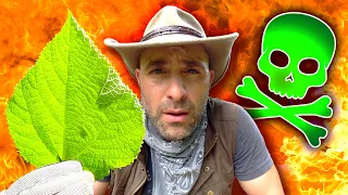 STUNG by The World’s Deadliest Plant!