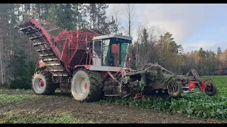 Sokerijuurikkaan nostoa Eurassa, Vervaet 17T 2021