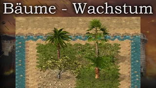 Wie wachsen Bäume in Stronghold Crusader?