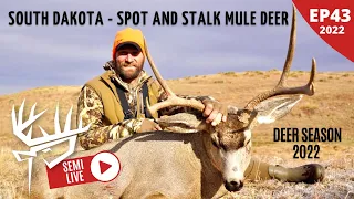 South Dakota Gun Hunt for Mule Deer