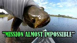 Using AMERICAN BASS Fishing Jigs For Wolf Fish! Catching Prehistoric Freshwater Fish in Trinidad