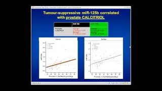 Dr. Reinhold Vieth - Vitamin D Reduces Prostate Cancer Associated Lesions