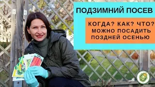 ПОДЗИМНИЙ ПОСЕВ - что можно посадить в саду и на огороде поздней осенью?