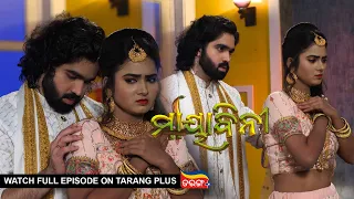 Mayabini | Ep 38 | 29th Nov 2022 | Watch Full Episode Now On Tarang Plus