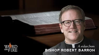 Bishop Barron on Biblical Religion