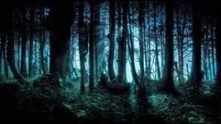 Darkpsy, Forest, Twilight Tripset Mix 2021 - S@W I sik@work - description