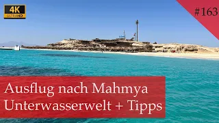 Mahmya Island | Der wahrscheinlich schönste Ort am Roten Meer | Hurghada 2023 (Vlog #163)